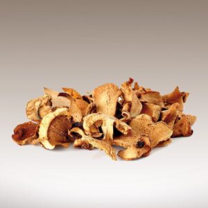 Hongos de Pino (Níscalos)