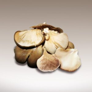 Gírgolas (Pleurotus)